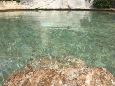 Rparation piscine Cassis