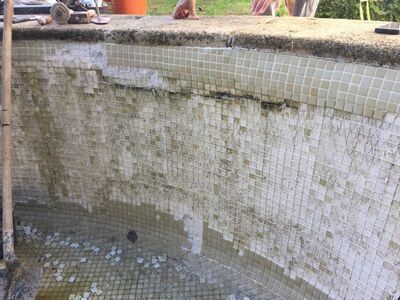 Rnovation piscine Bouches du Rhne