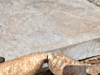 Rnovation piscine Var