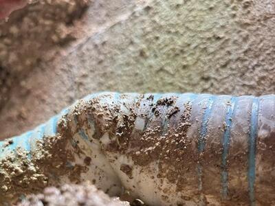 Rnovation piscine Var