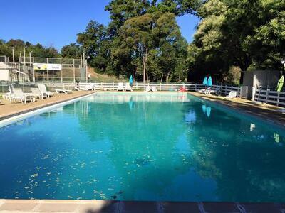 Rnovation piscine Bouches du Rhne